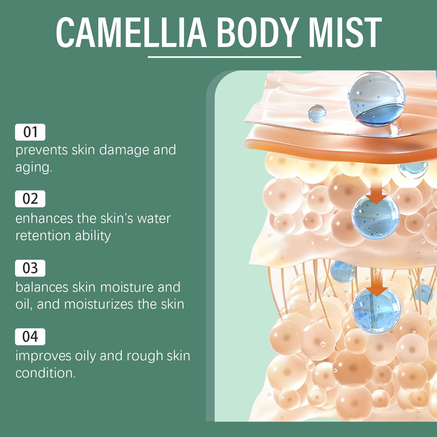 #CamelliaLotion,
#SkinCare,
#BodyCare,
#HydratingLotion,
#RefreshingCare,
#SoftSkin,
#Moisturizing,
#GlowingSkin,
#SkinHydration,
#NourishedSkin,
#CamelliaExtract,
#SmoothSkin,
#NaturalSkincare,
#BodyMoisturizer,
#HealthySkin,